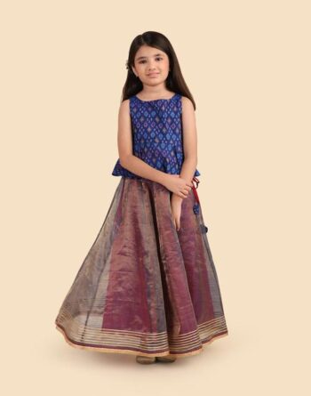 Blue Cotton Silk Blend Ikat 2pc Lehenga Set
